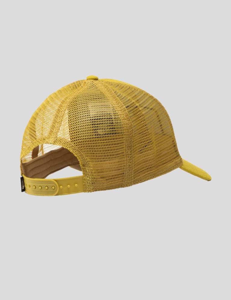 Gorra THE NORTH FACE df mudder trucker hat matcha green